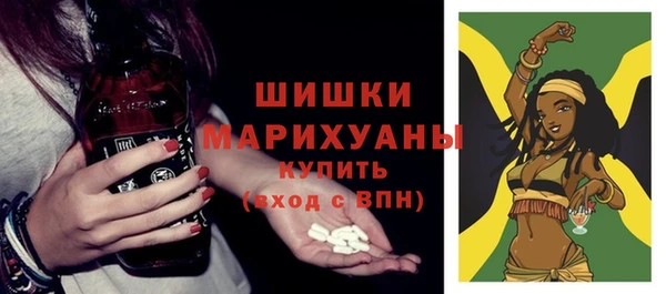 стаф Балахна