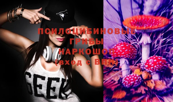 стаф Балахна