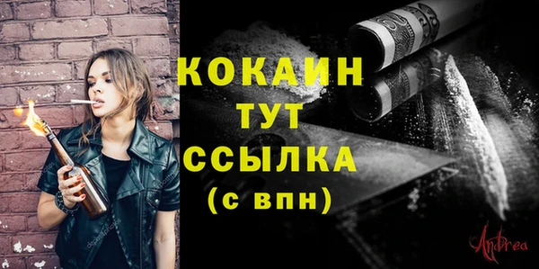 стаф Балахна