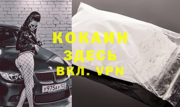 стаф Балахна