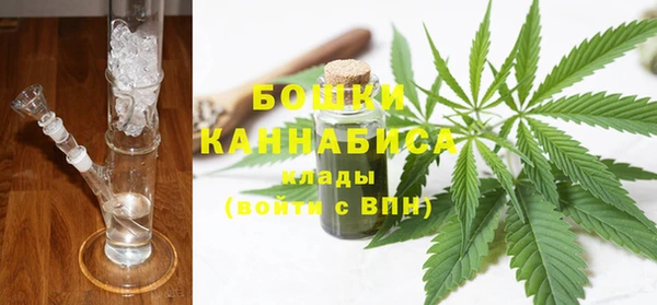 стаф Балахна
