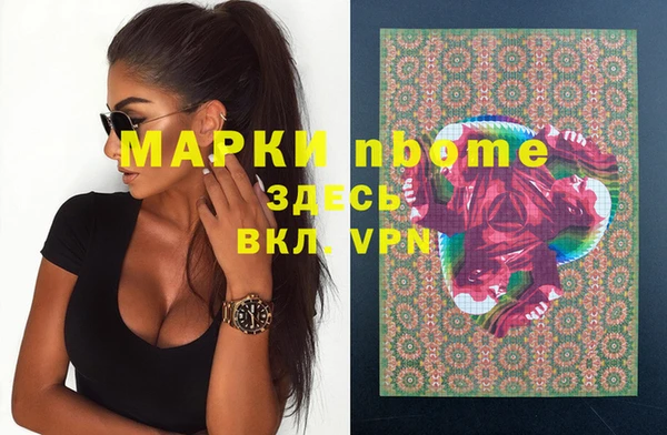 стаф Балахна