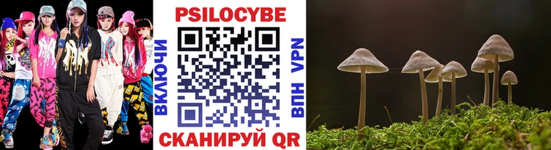 закладки  МЕГА онион  Галлюциногенные грибы Cubensis  Нытва 